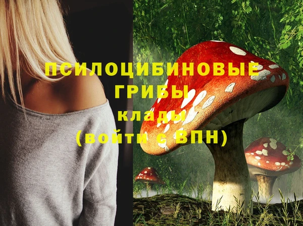 spice Алзамай
