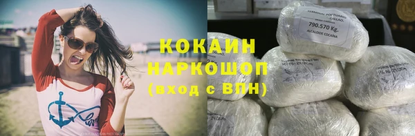 spice Алзамай