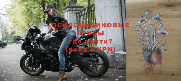 spice Алзамай